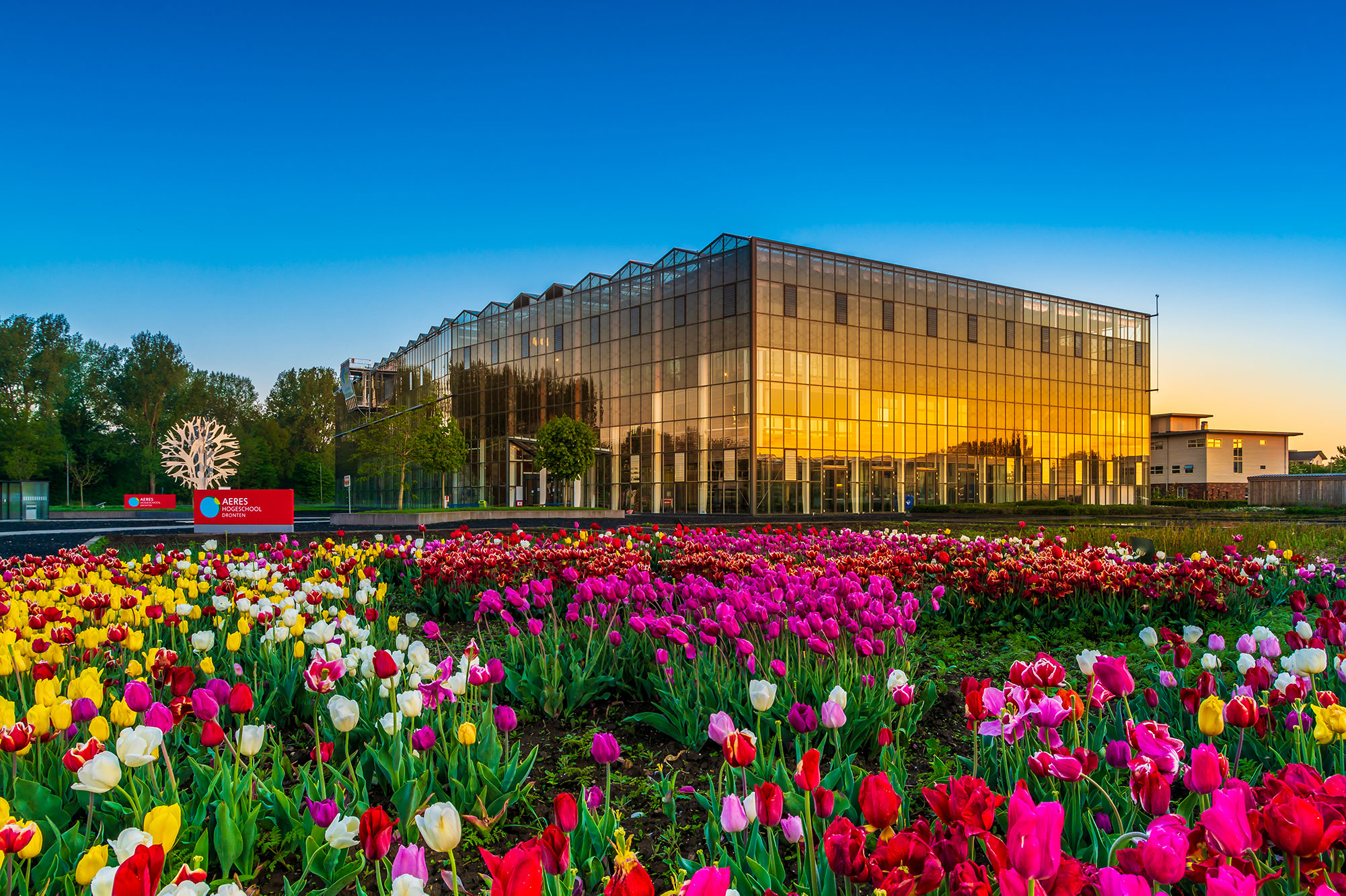 Kas Hogeschool Dronten