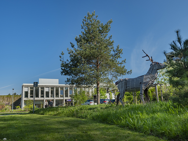 Locatie Aeres MBO Velp