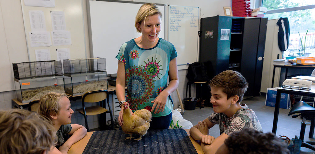 Docent geeft les aan leerlingen over de kip